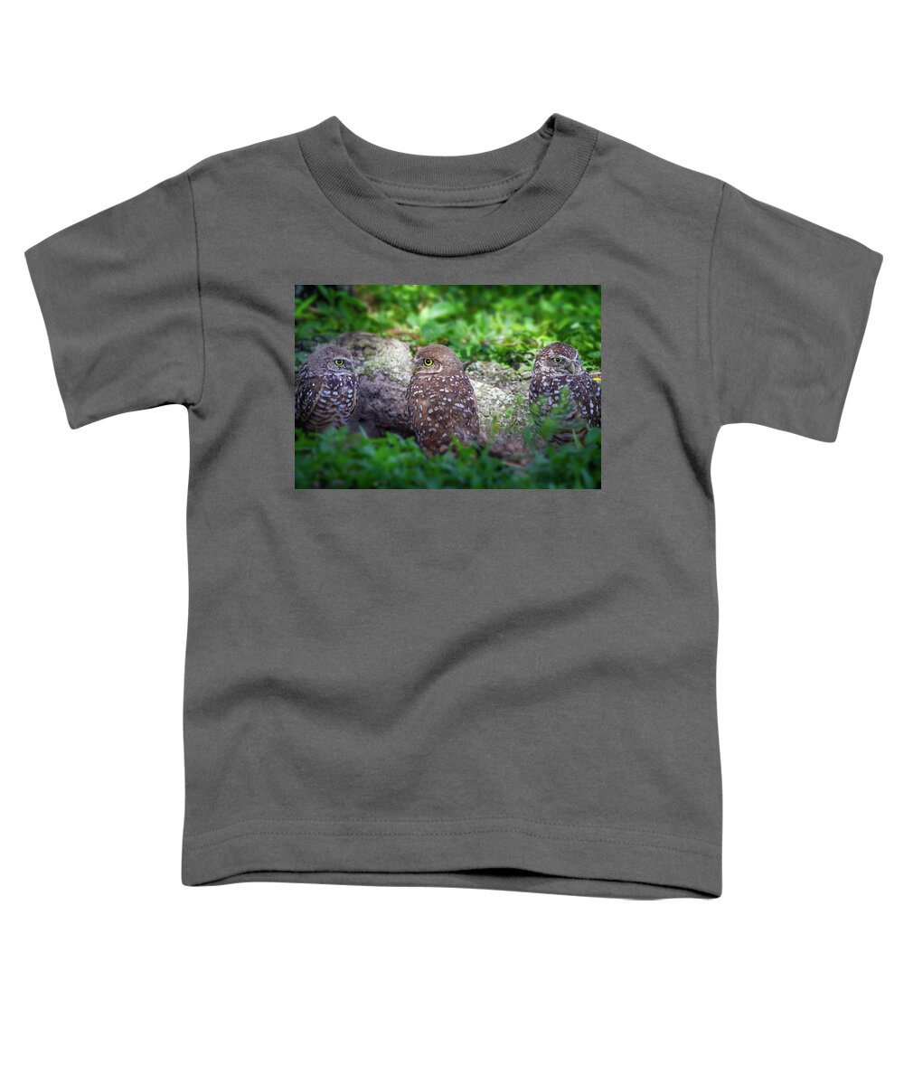 Owl Toddler T-Shirt featuring the photograph Burrowing Owl Family by Mark Andrew Thomas