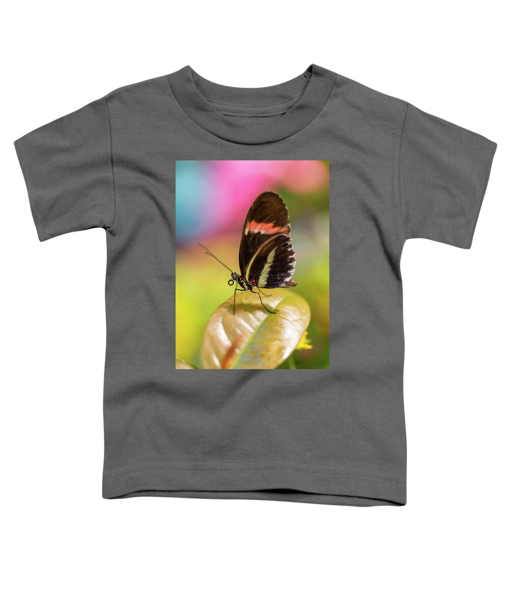 Butterfly Toddler T-Shirt featuring the photograph Butterfly by John Randazzo
