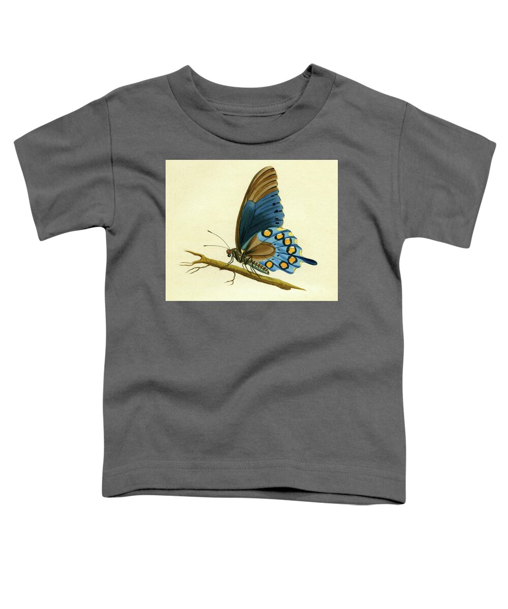 Entomology Toddler T-Shirt featuring the mixed media butterfy detail - Papilio Philenor by Unknown