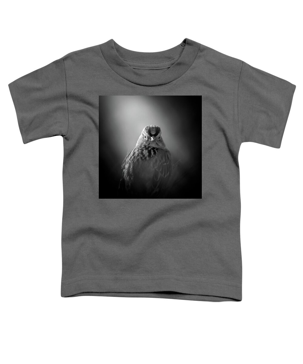 Alameda Toddler T-Shirt featuring the photograph Call Me Sparrow by Mike Gifford