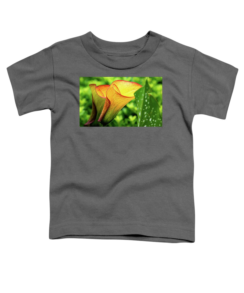 Flower Toddler T-Shirt featuring the digital art Calypso Calla by Ed Stines