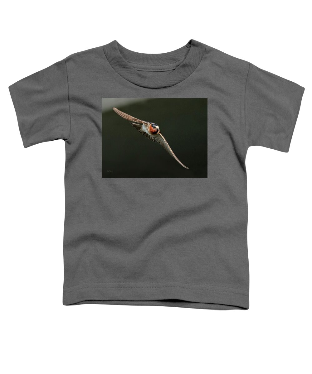 Cliff Swallows Toddler T-Shirt featuring the photograph Cliff Swallow On the Move by Judi Dressler