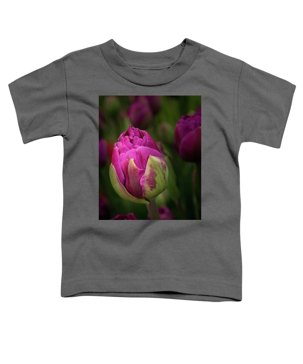 Closed Pink Tulip Toddler T-Shirt featuring the photograph Closed Pink Tulip by Jean Noren