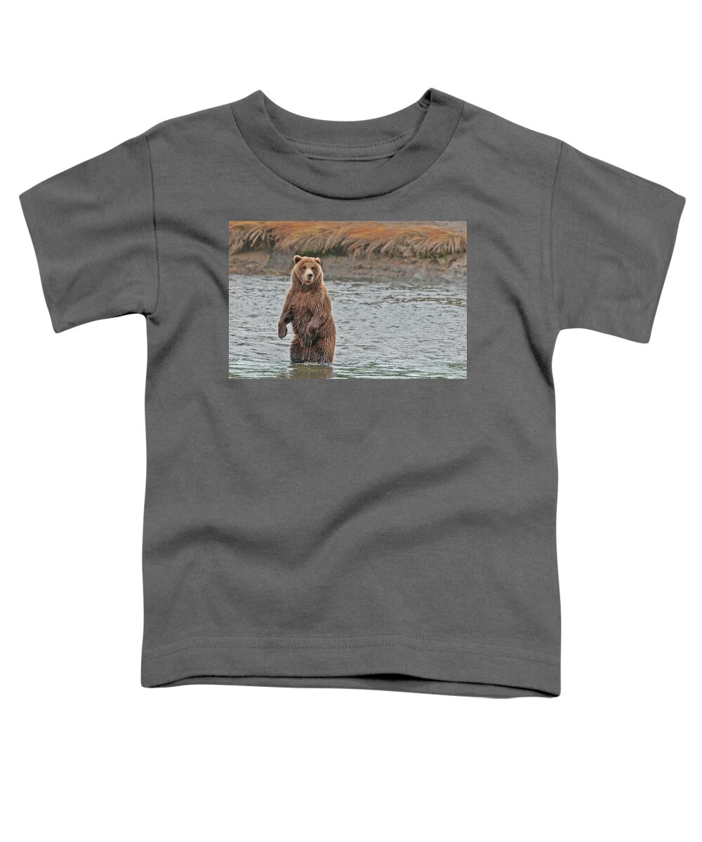 Wild Toddler T-Shirt featuring the photograph Coastal Brown Bears On Salmon Watch by Gary Langley