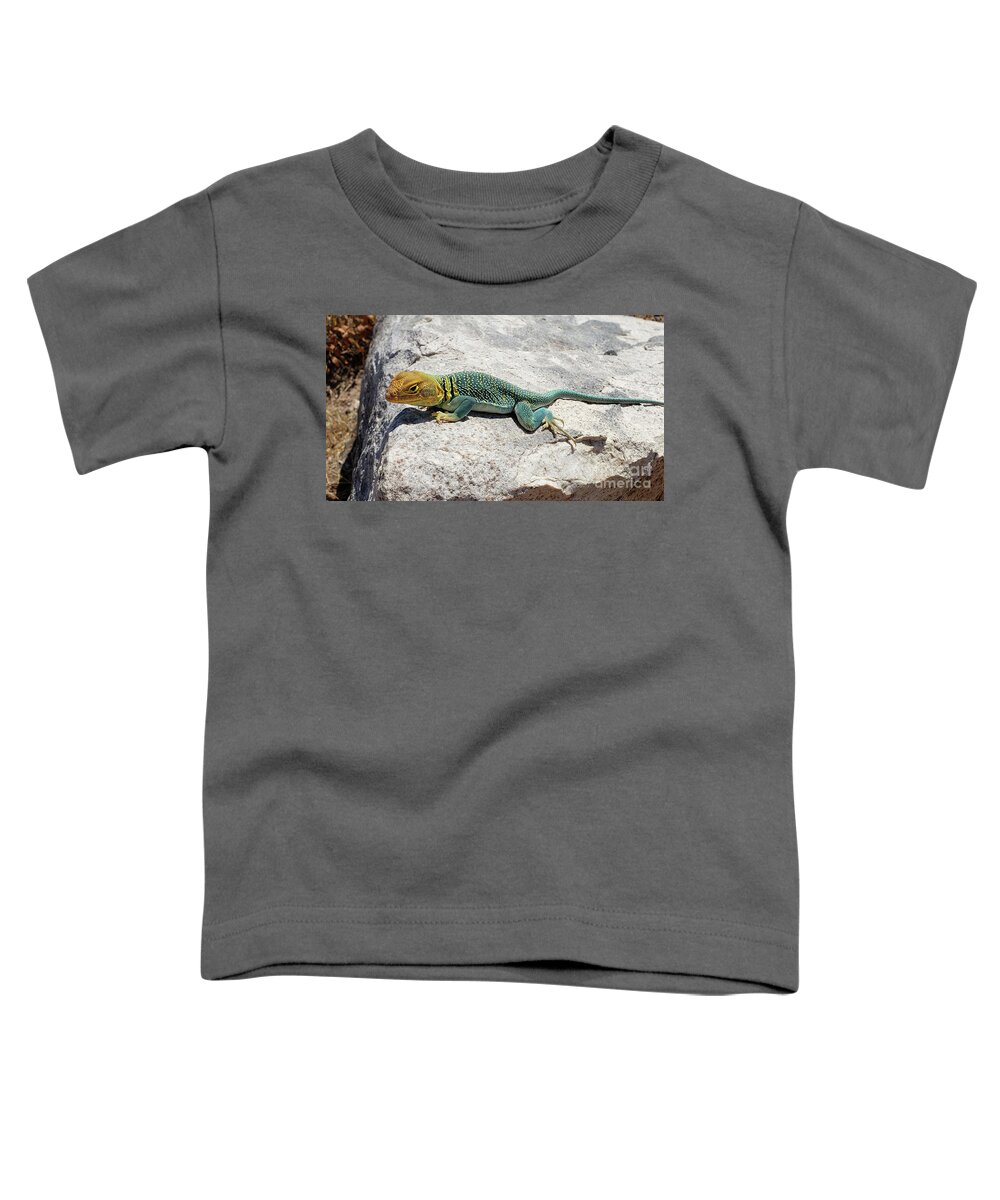 Colorado Toddler T-Shirt featuring the photograph Collared Lizard by Julia McHugh