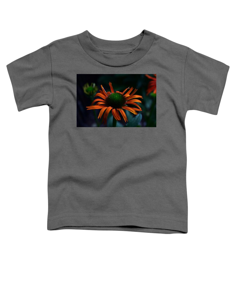 Flowers Toddler T-Shirt featuring the photograph Cone  Red by Jimmy Chuck Smith