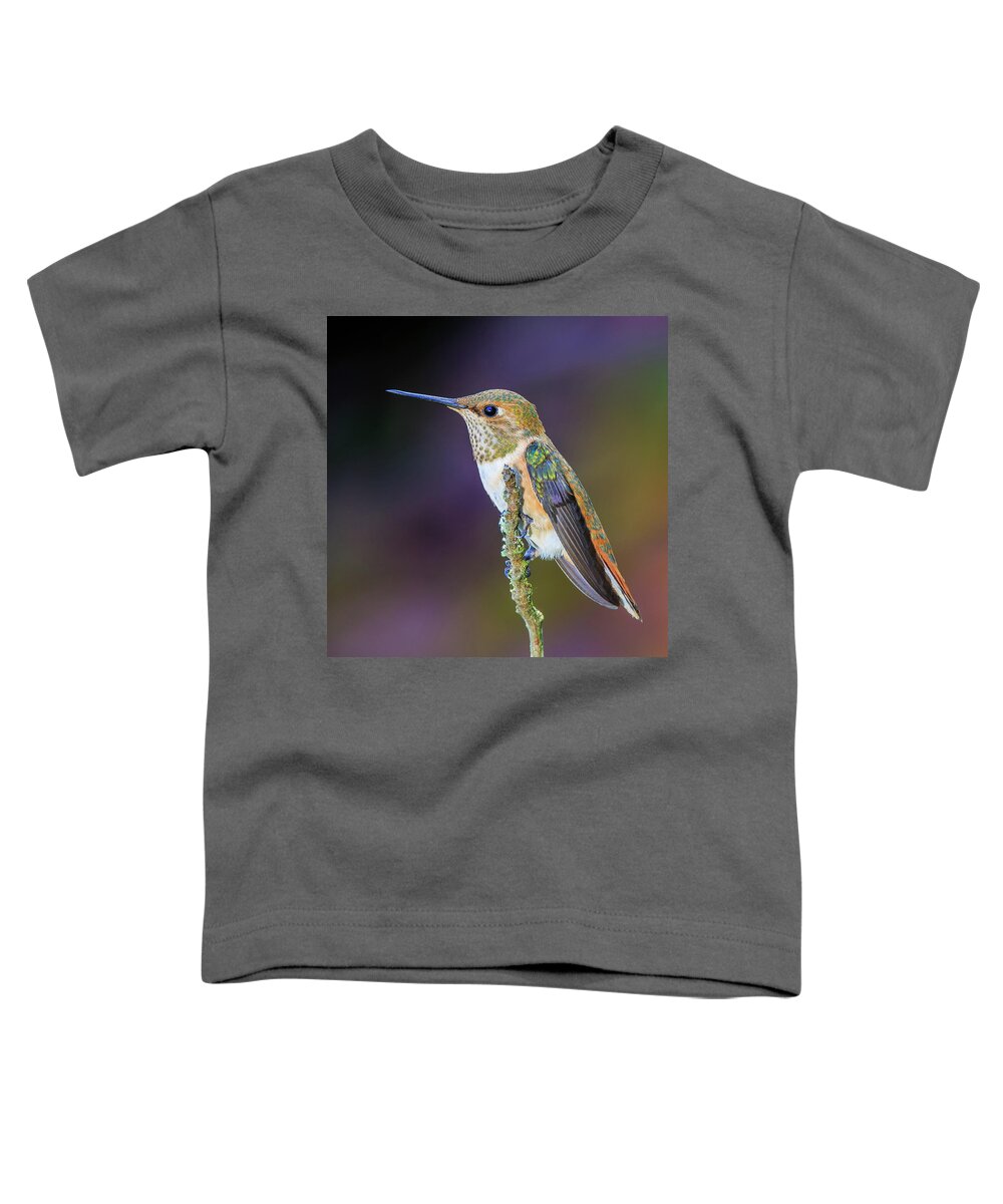 Animal Toddler T-Shirt featuring the photograph Contemplation II - Rufous Hummingbird by Briand Sanderson