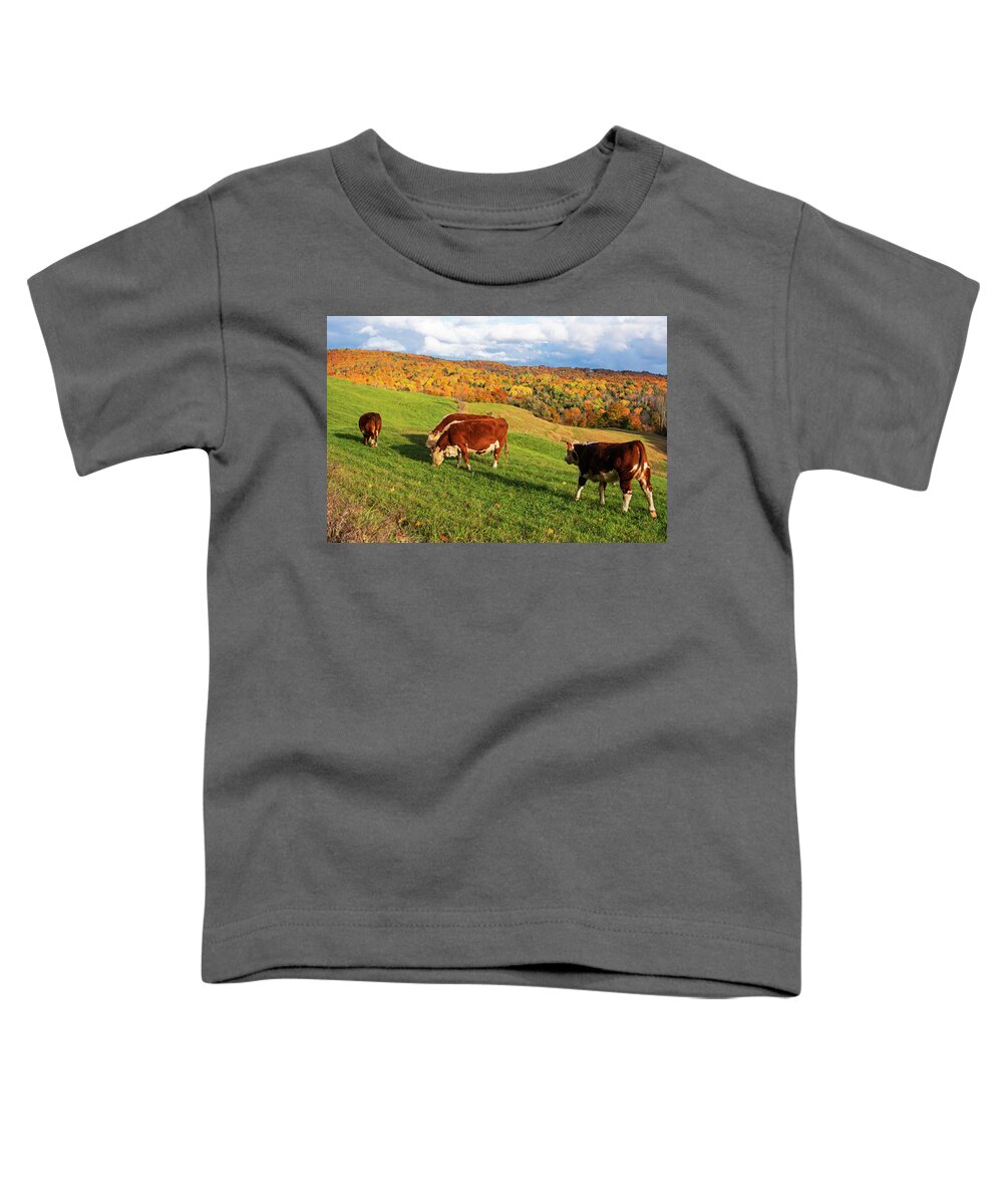 Reading Toddler T-Shirt featuring the photograph Cows Grazing on the Hillside Jenne Farm Reading VT Fall Foliage Mountain by Toby McGuire