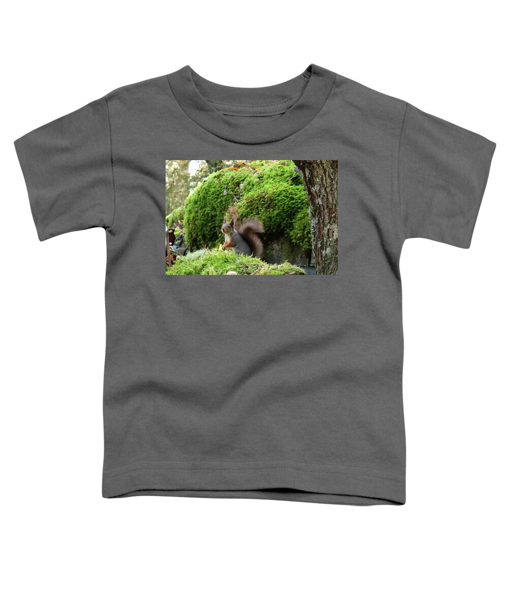 Sweden Toddler T-Shirt featuring the pyrography Curious squirrel by Magnus Haellquist