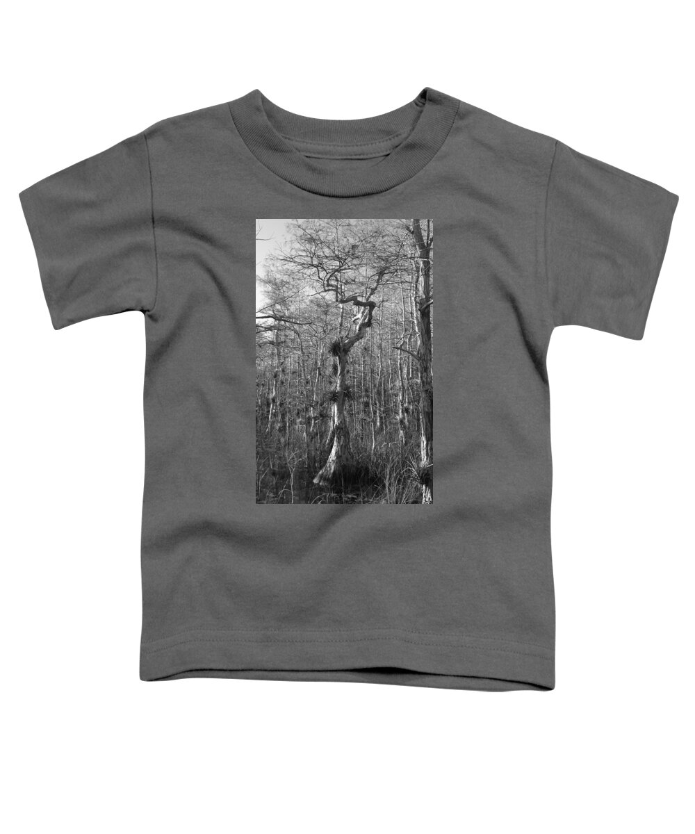 Florida Everglades Toddler T-Shirt featuring the photograph Cypress Tree with Direction by Lindsey Floyd