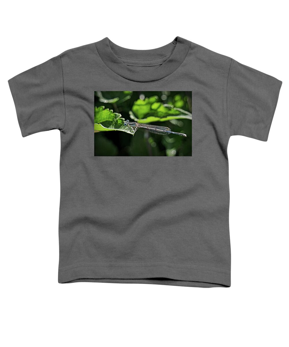 Blue Damsel Fly Toddler T-Shirt featuring the photograph Damsel fly by Martin Smith