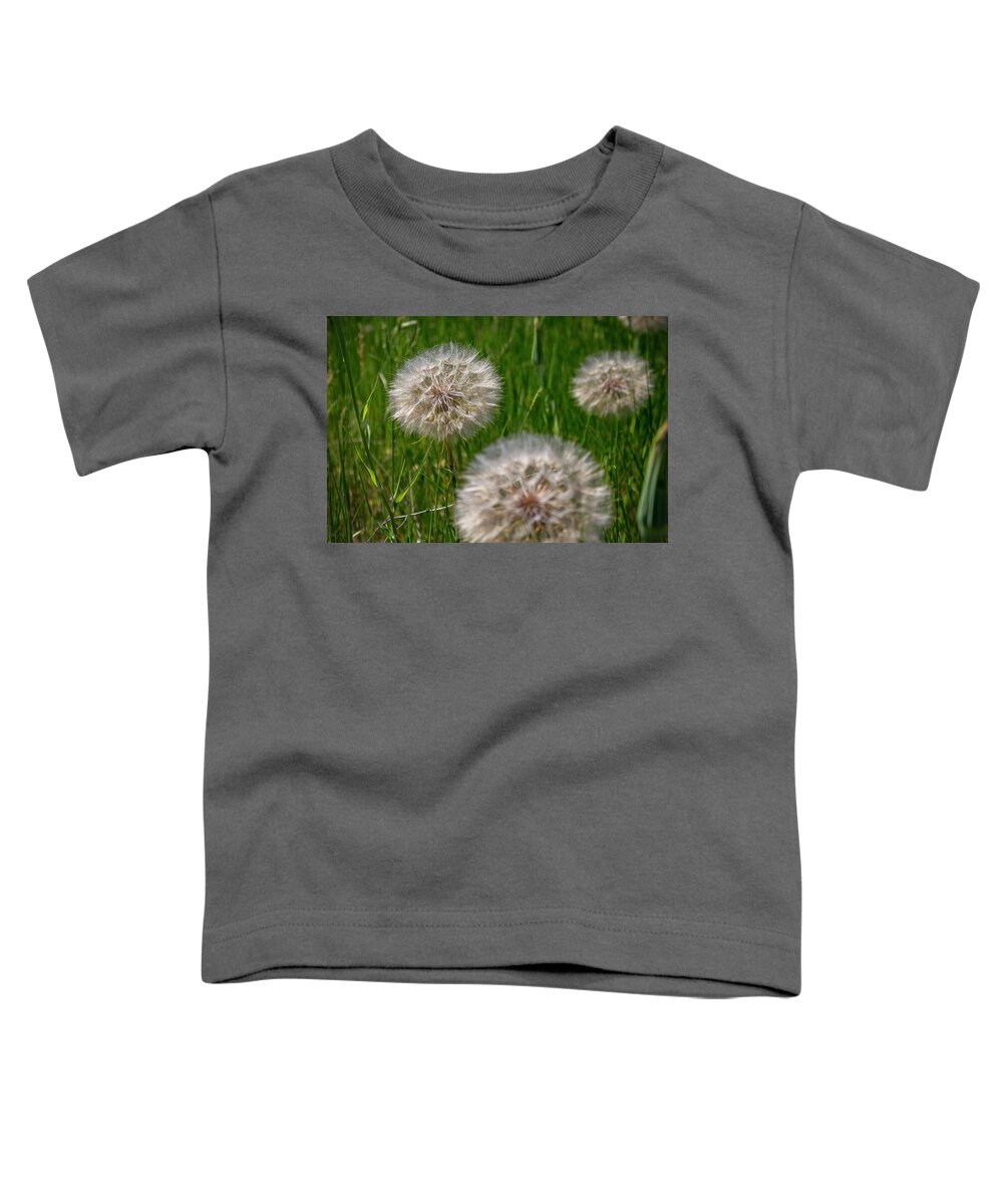 Dandelion Toddler T-Shirt featuring the photograph Dandelion Fluff by K Bradley Washburn