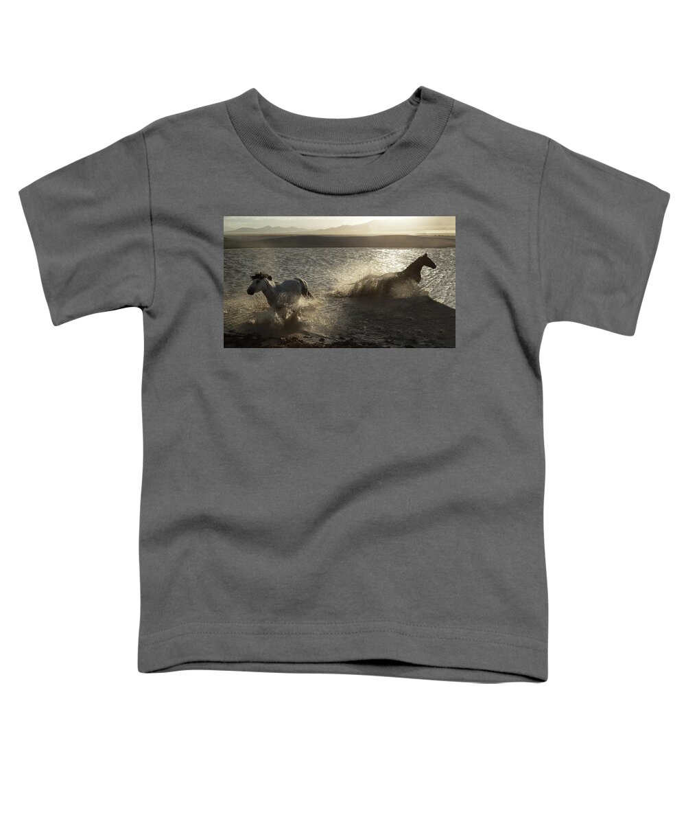 Horse Toddler T-Shirt featuring the photograph Desert Water Stallions by Kent Keller