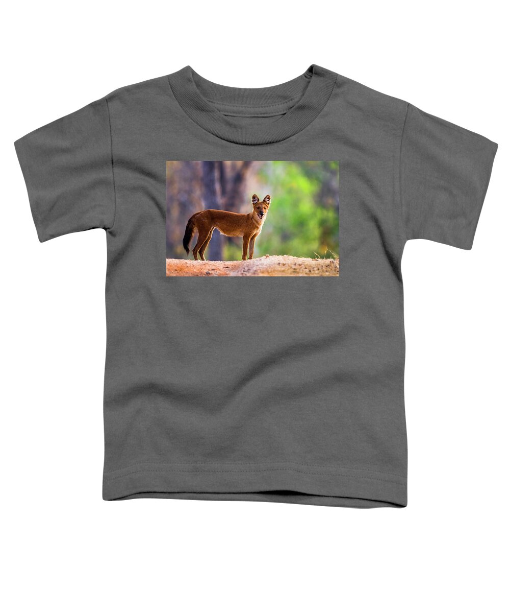Photography Toddler T-Shirt featuring the photograph Dhole Cuon Alpinus Standing And Looking by Panoramic Images