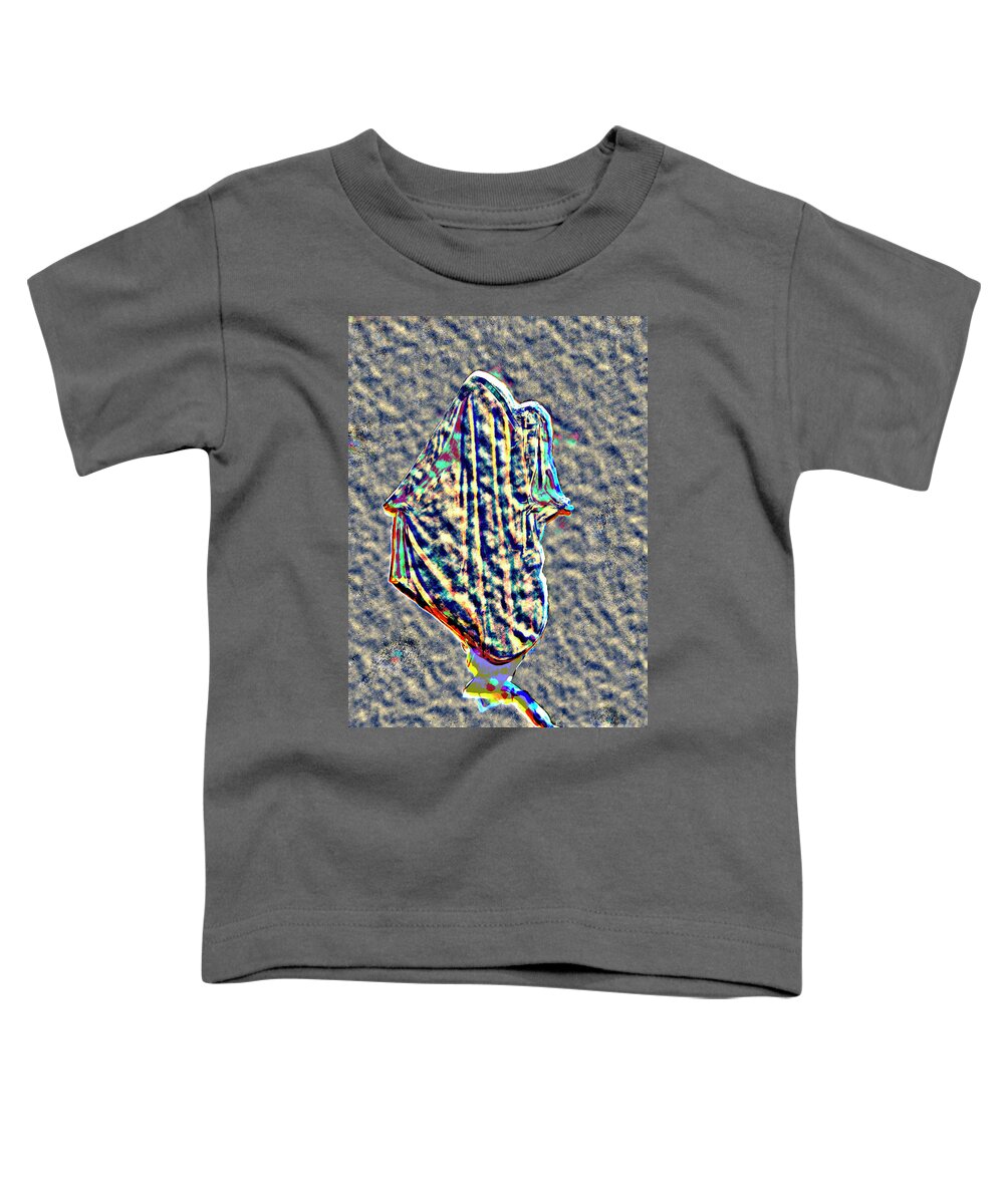 Digital Toddler T-Shirt featuring the digital art Digital Ascension III by James Lavott
