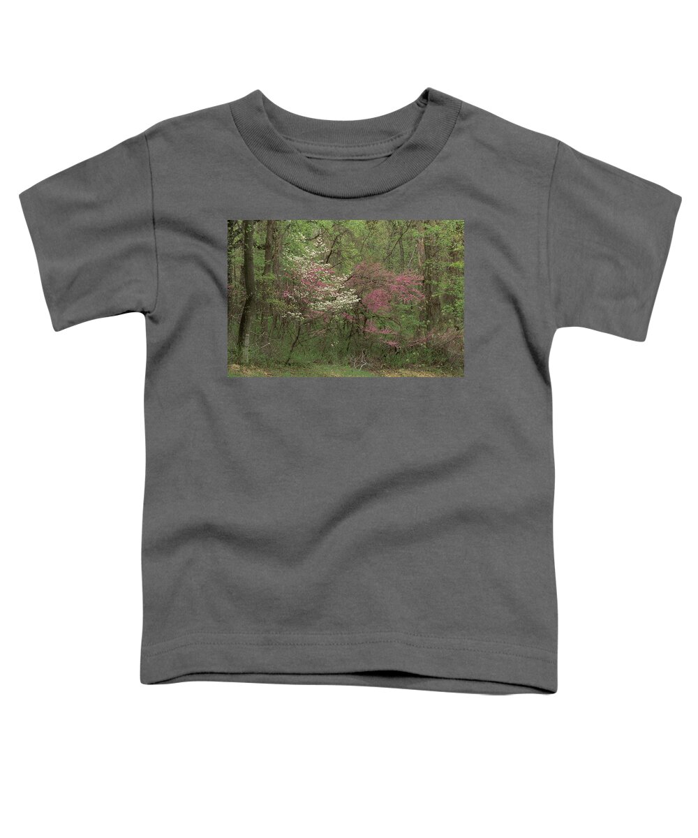 Appalachia Toddler T-Shirt featuring the photograph Dogwood And Redbud In Virginia by Michael Lustbader