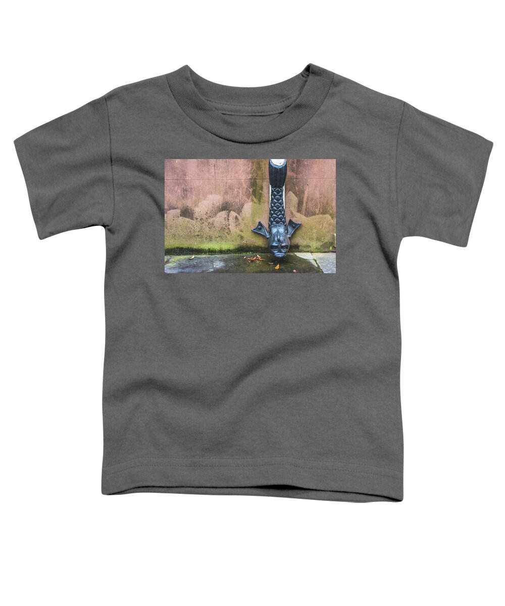 Downspout Toddler T-Shirt featuring the photograph Dolphin Downspout Savannah by Douglas Wielfaert