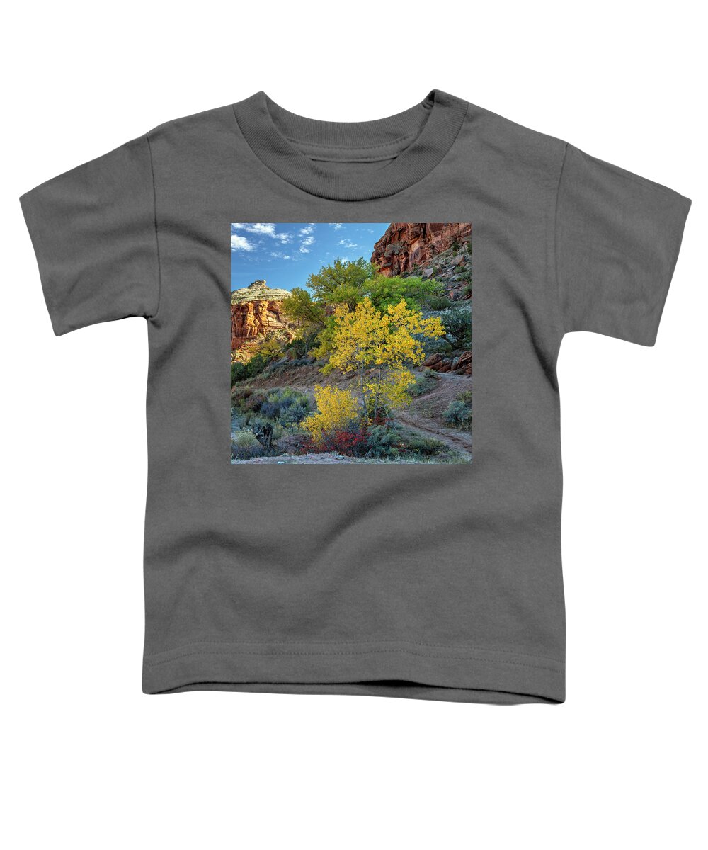 Dominguez Canyon Toddler T-Shirt featuring the photograph Dominguez Gold by Angela Moyer
