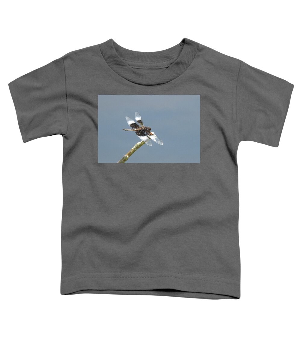 Dragonfly Toddler T-Shirt featuring the photograph Dragonfly by Kathy Chism