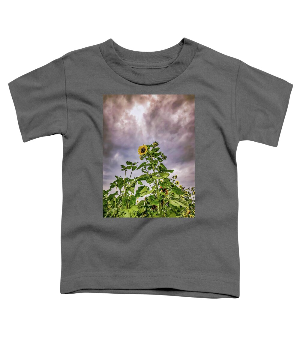 Sunflower Toddler T-Shirt featuring the photograph Dramatic Sunflower by Anamar Pictures