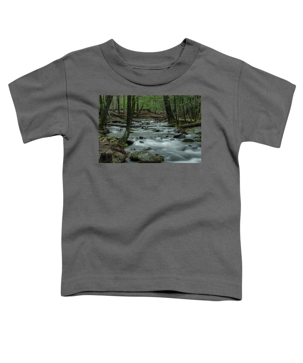 Abrams Creek Toddler T-Shirt featuring the photograph Dreams of Abrams Creek by Douglas Wielfaert