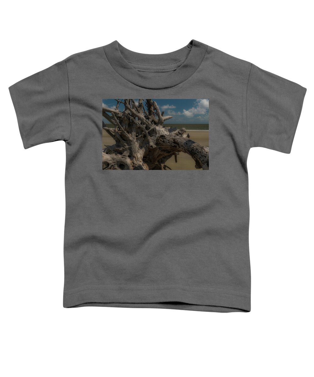 Driftwood Toddler T-Shirt featuring the photograph Driftwood Sculpture by Vicky Edgerly