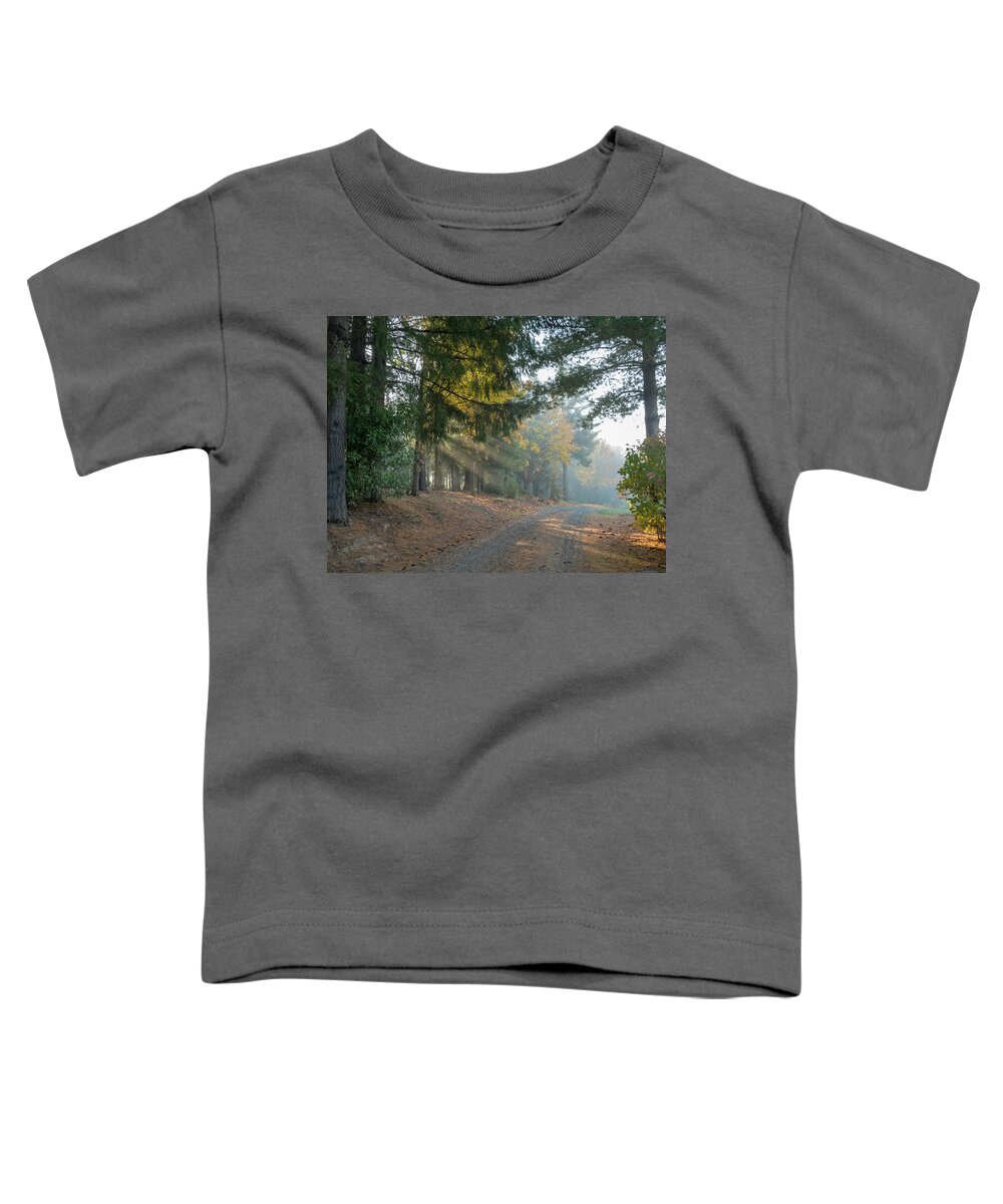 Driveway Morning Light Toddler T-Shirt featuring the photograph Driveway Morning Light by Jean Noren