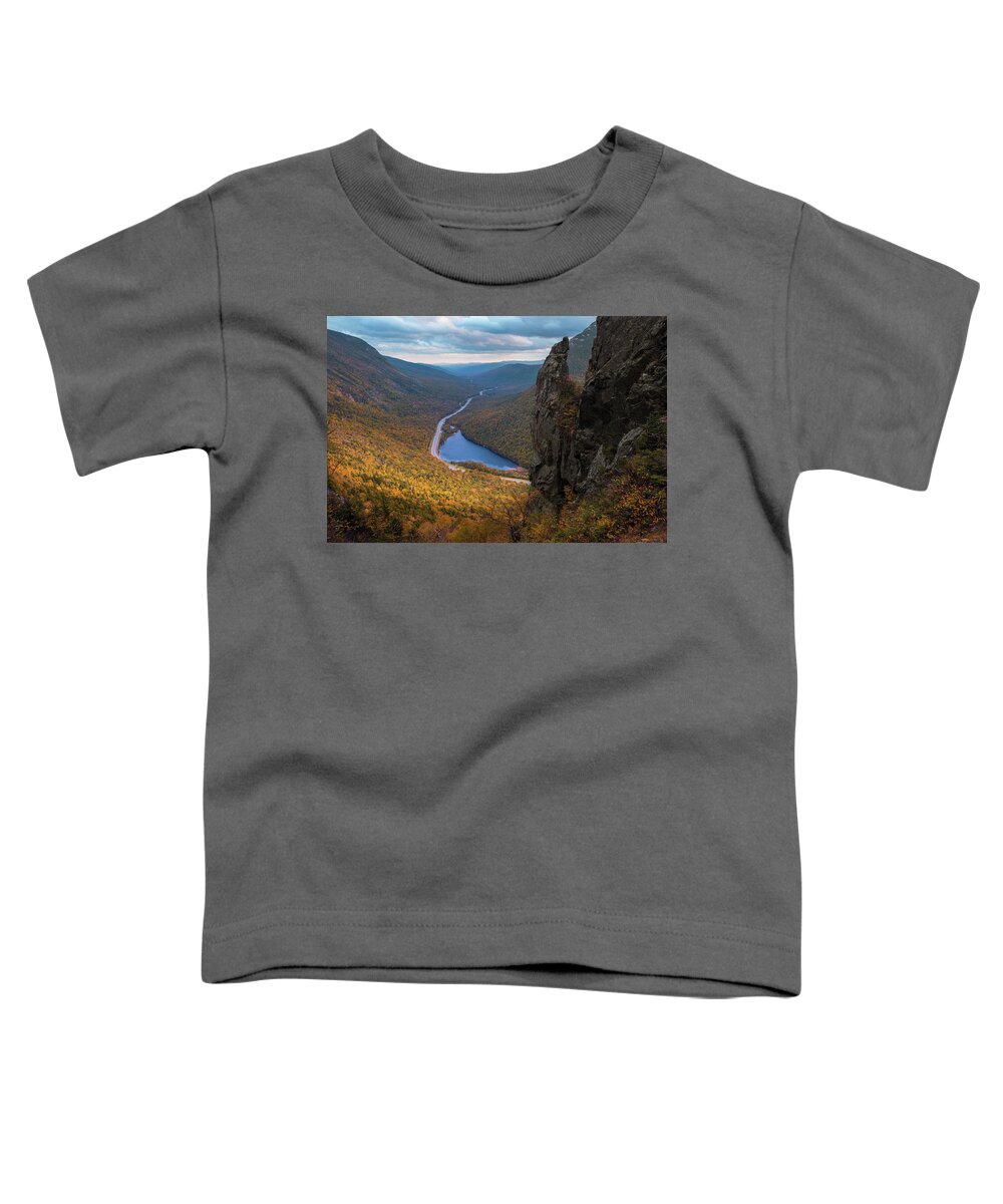 Eaglet Toddler T-Shirt featuring the photograph Eaglet Autumn by White Mountain Images