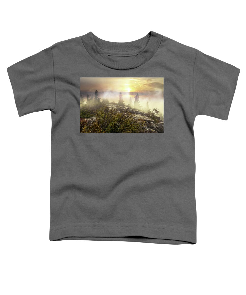 Moon Toddler T-Shirt featuring the photograph Early Morning Mist by Lisa Lambert-Shank