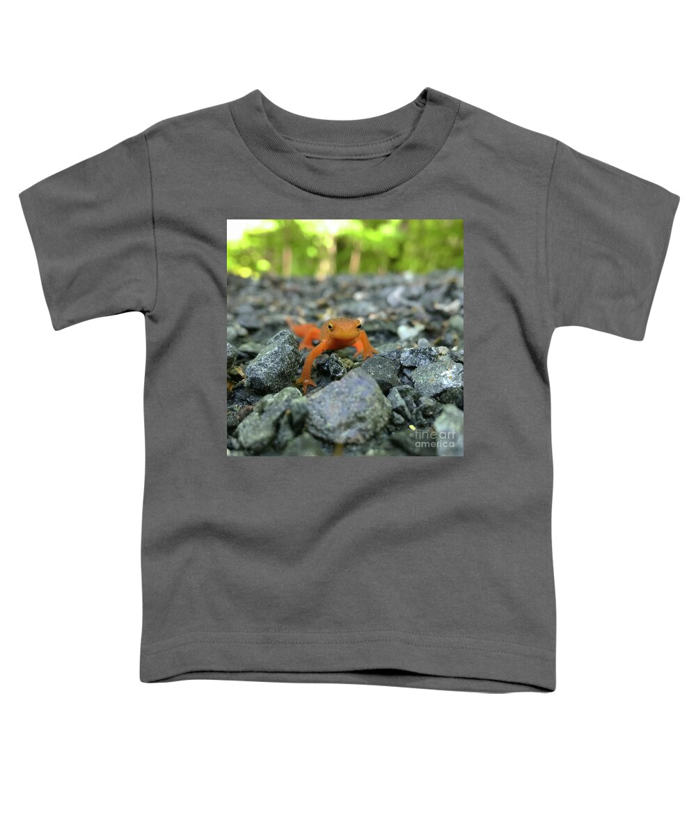 Salamander Toddler T-Shirt featuring the photograph Eastern Red Spotted Newt 2 by Amy E Fraser