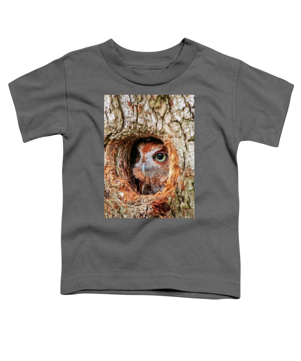 Birds Toddler T-Shirt featuring the photograph Eastern Screech Owl by Louis Dallara