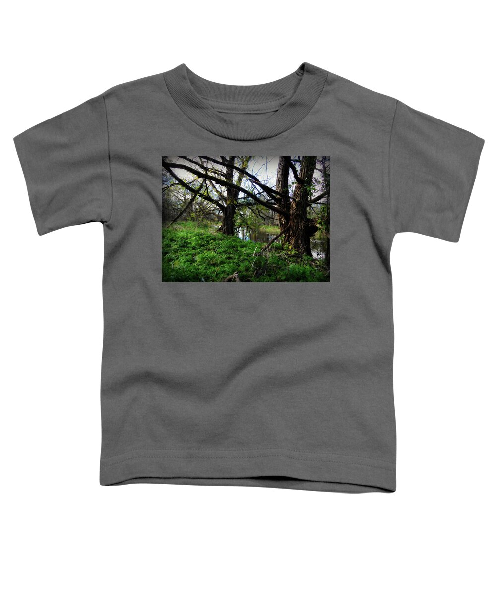 Enlightening Time Toddler T-Shirt featuring the photograph Enlightening Times by Cyryn Fyrcyd