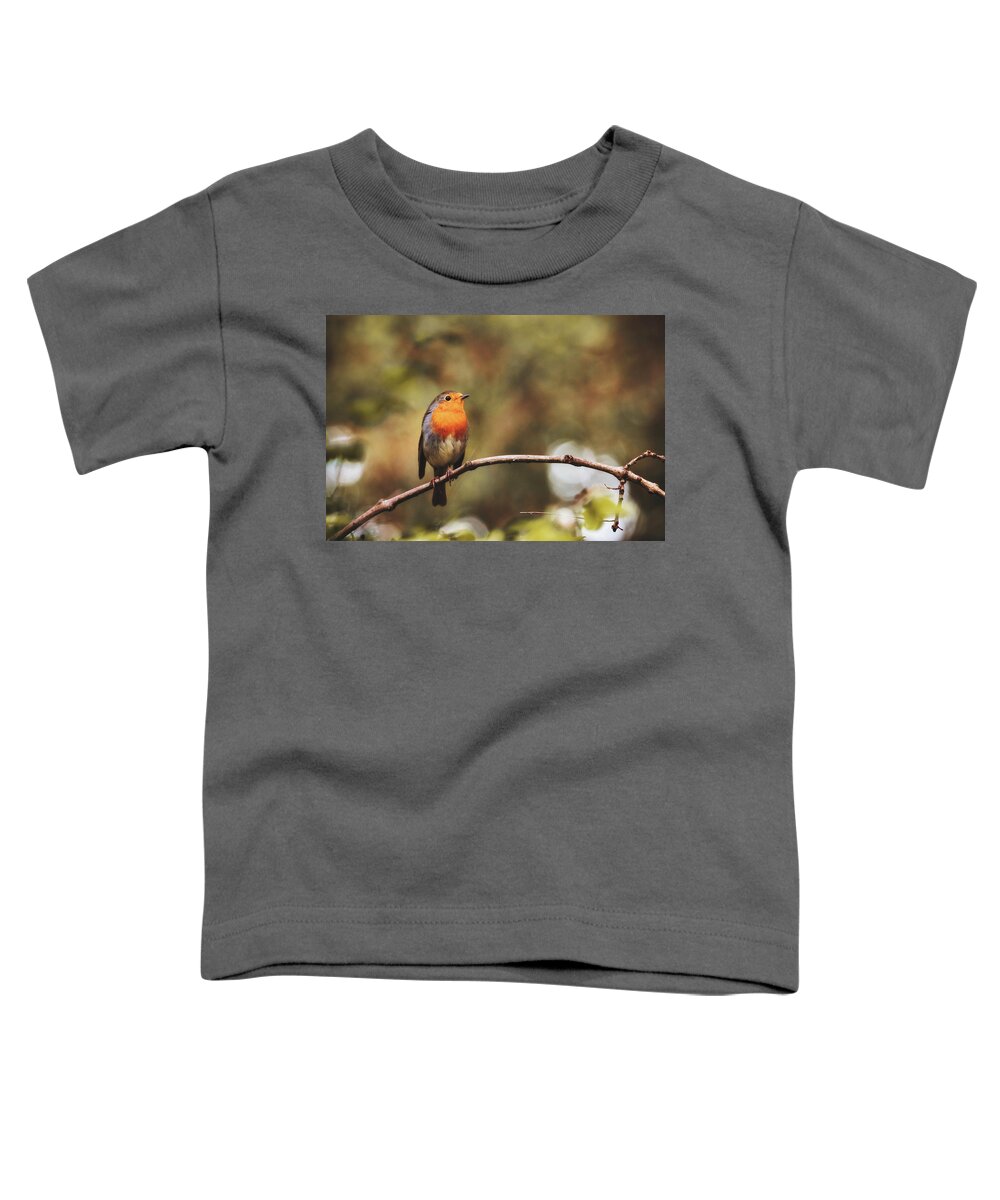 Robin Toddler T-Shirt featuring the photograph European Robin - Erithacus rubecula by Marc Braner