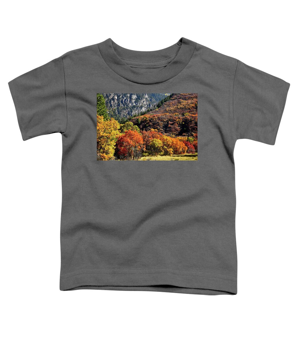 Colorado Toddler T-Shirt featuring the photograph Fall Colored Oaks in Avalanche Creek Canyon by Ray Mathis