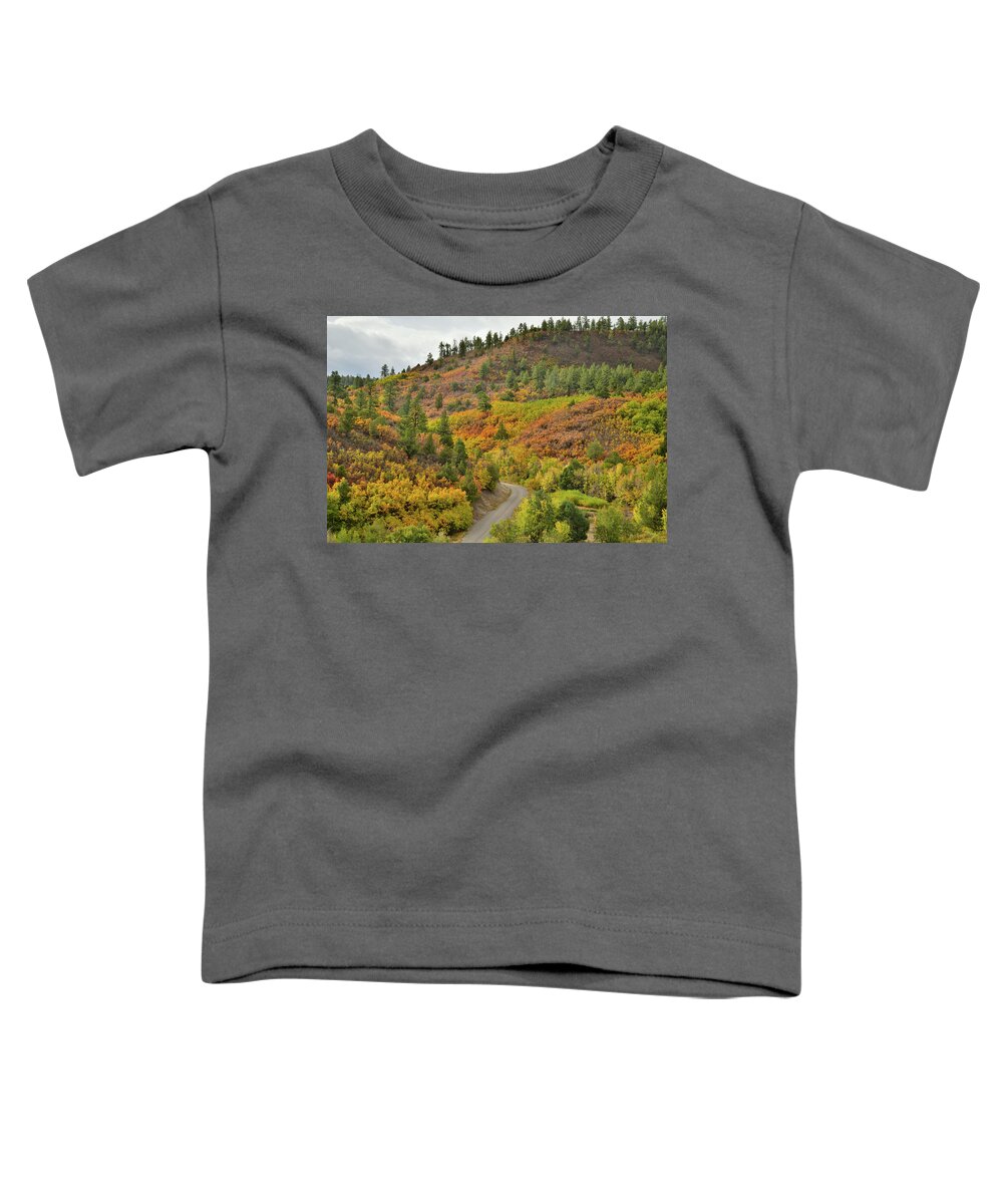 Ouray Toddler T-Shirt featuring the photograph Fall Colors Adorn Hills near Ridgway Colorado by Ray Mathis