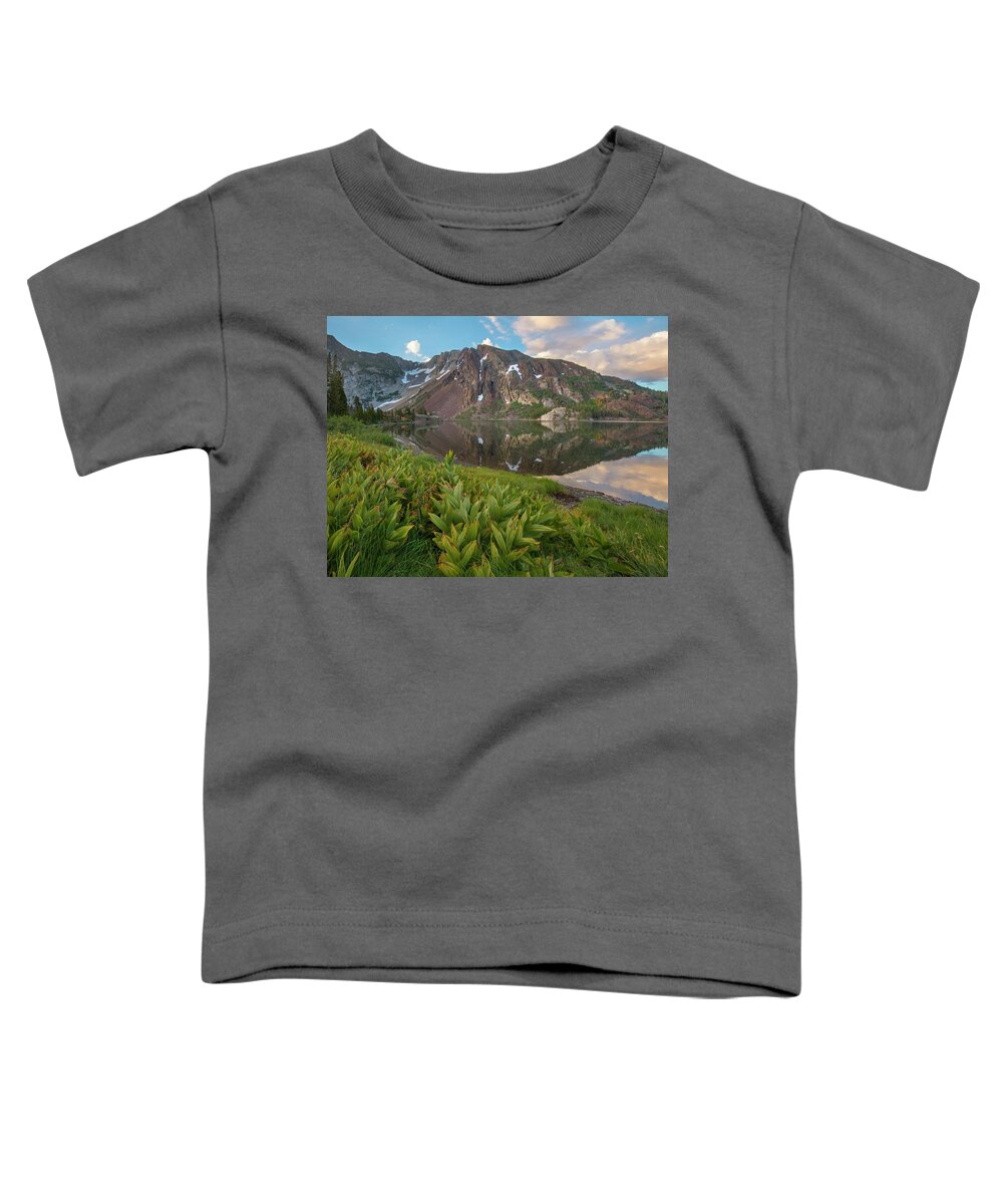 00574848 Toddler T-Shirt featuring the photograph False Hellebore Ellery Lake, Inyo by Tim Fitzharris