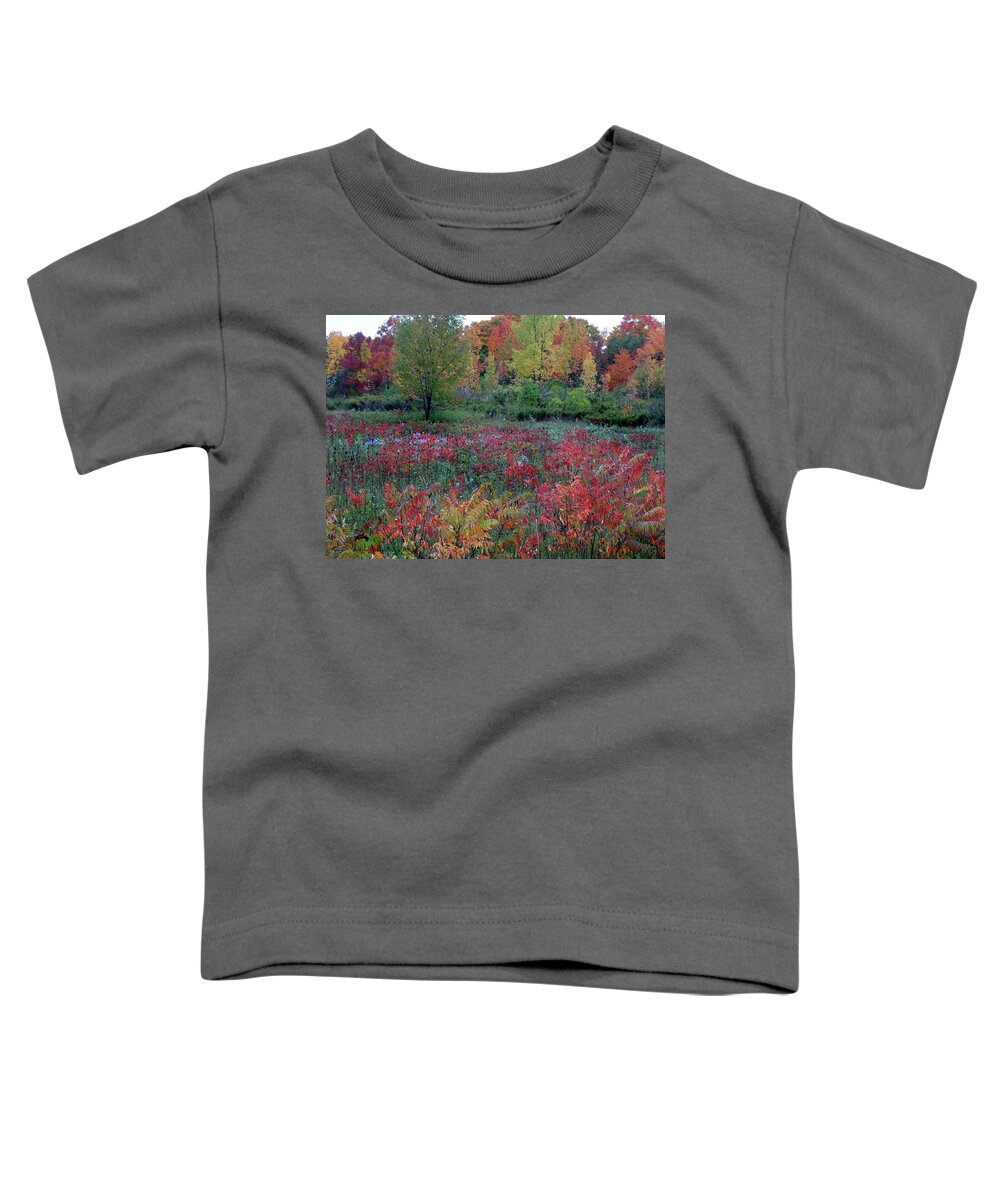 Field Of Fall Colors Toddler T-Shirt featuring the photograph Field of Fall Colors by David T Wilkinson
