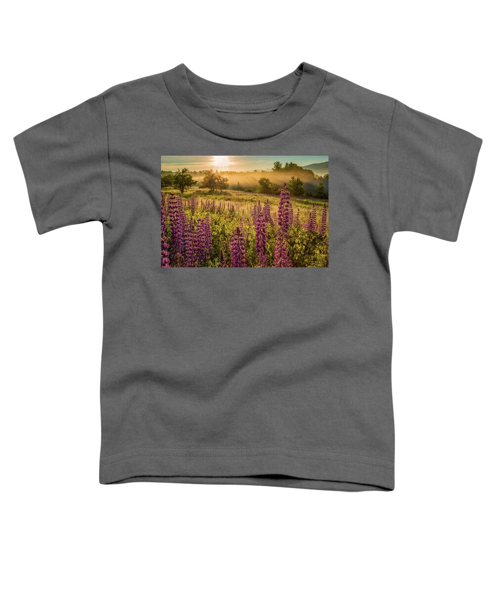 Amazing New England Artworks Toddler T-Shirt featuring the photograph Fields Of Lupine by Jeff Sinon