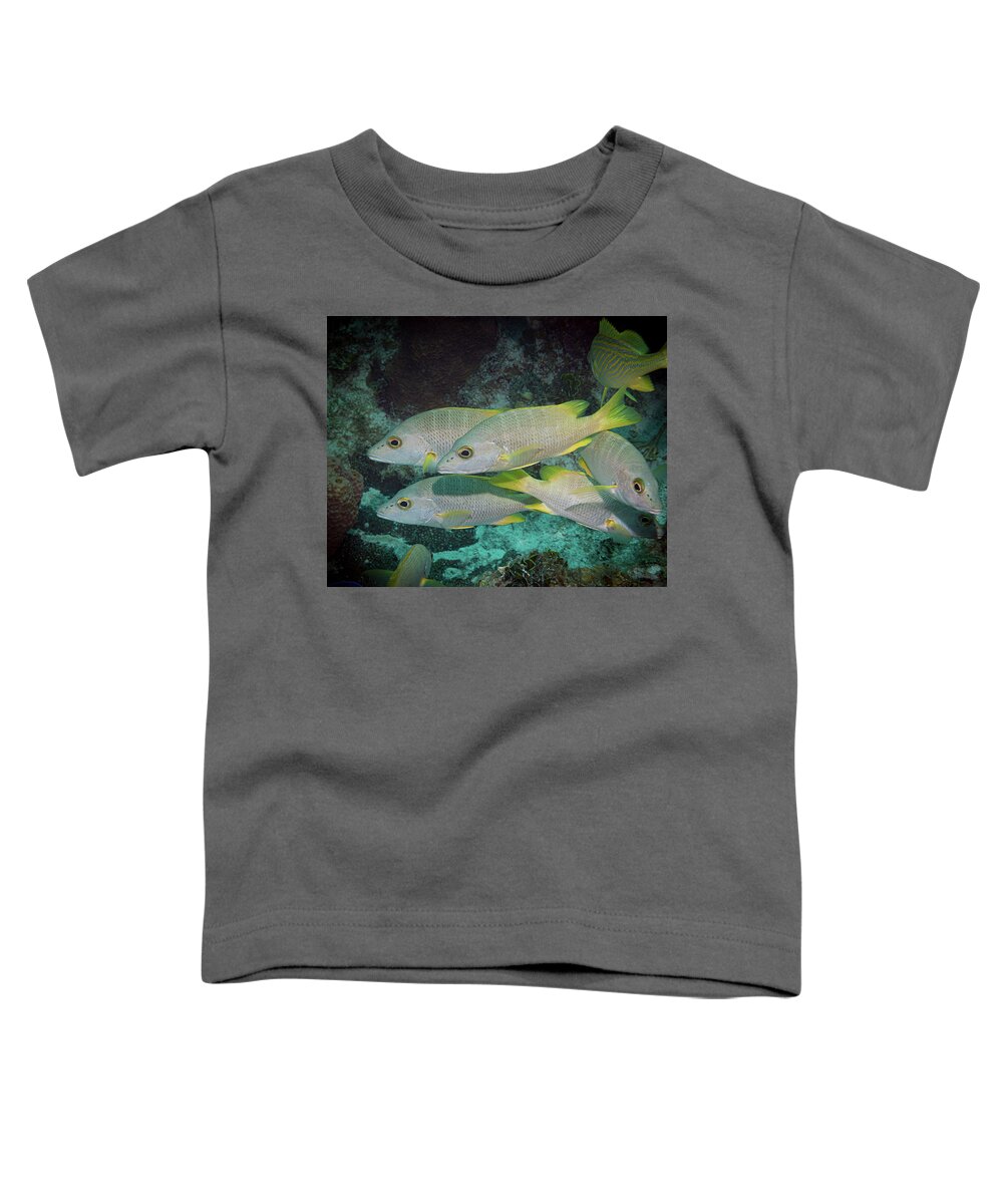 Fish Toddler T-Shirt featuring the photograph Fish Chaos by Jean Noren