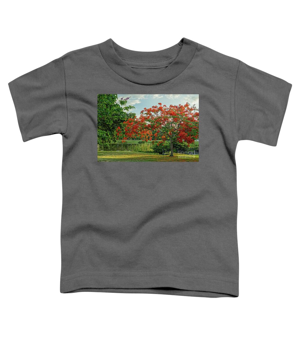 Plant Toddler T-Shirt featuring the photograph Flamboyant - Royal Poinciana by Jo Ann Gregg