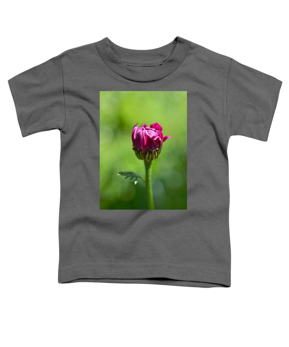 Flower Toddler T-Shirt featuring the photograph Fleur I by Shannon Kelly