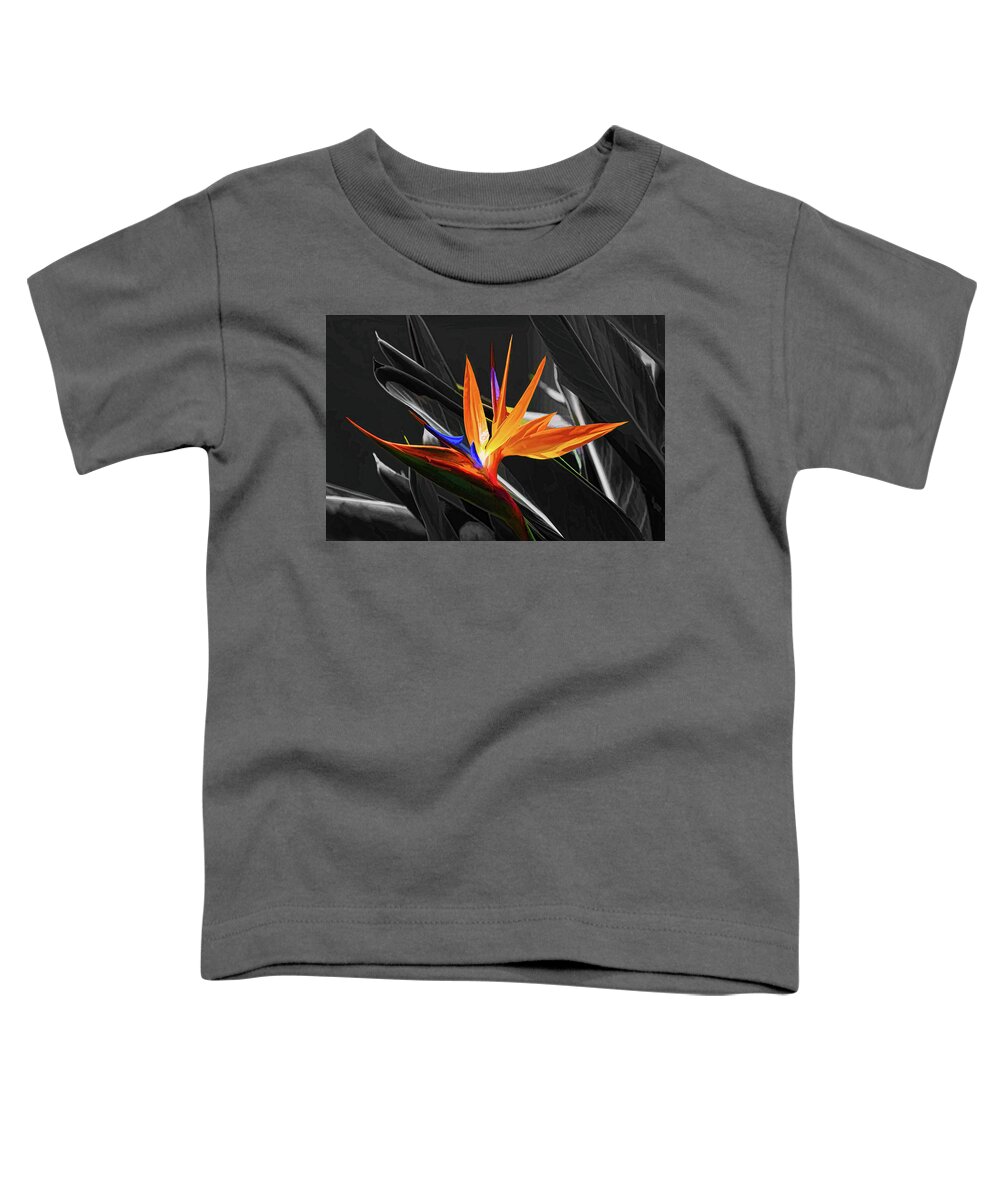 Bird Of Paradise Toddler T-Shirt featuring the photograph Flower - A Bird In Paradise by HH Photography of Florida