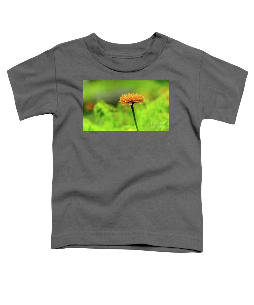 Landscape Toddler T-Shirt featuring the photograph Flower by Dheeraj Mutha