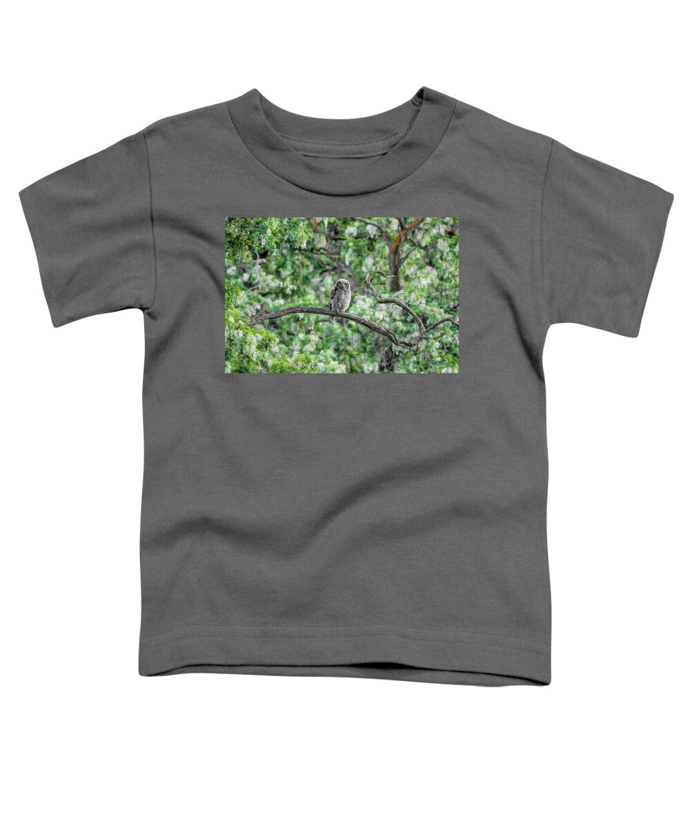 Fluffy Great Horned Owlet Toddler T-Shirt featuring the photograph Fluffy Great Horned Owlet by Wes and Dotty Weber