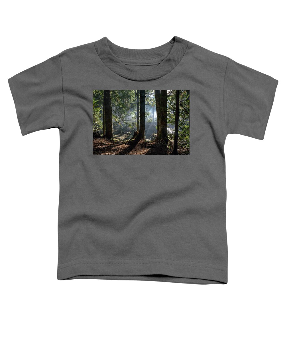 Alex Lyubar Toddler T-Shirt featuring the photograph Foggy morning in the forest by Alex Lyubar