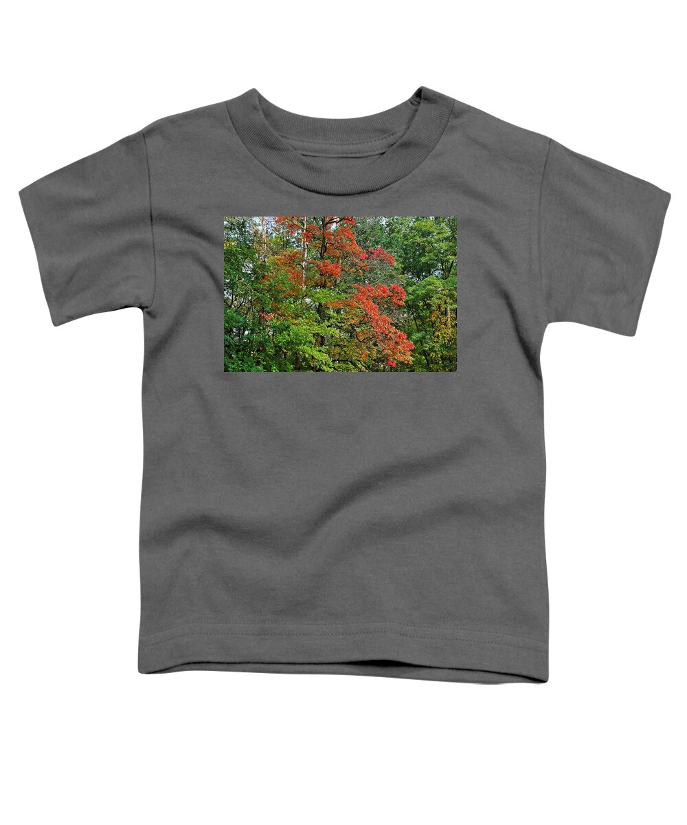 Autumn Toddler T-Shirt featuring the photograph Forever with You by Michiale Schneider