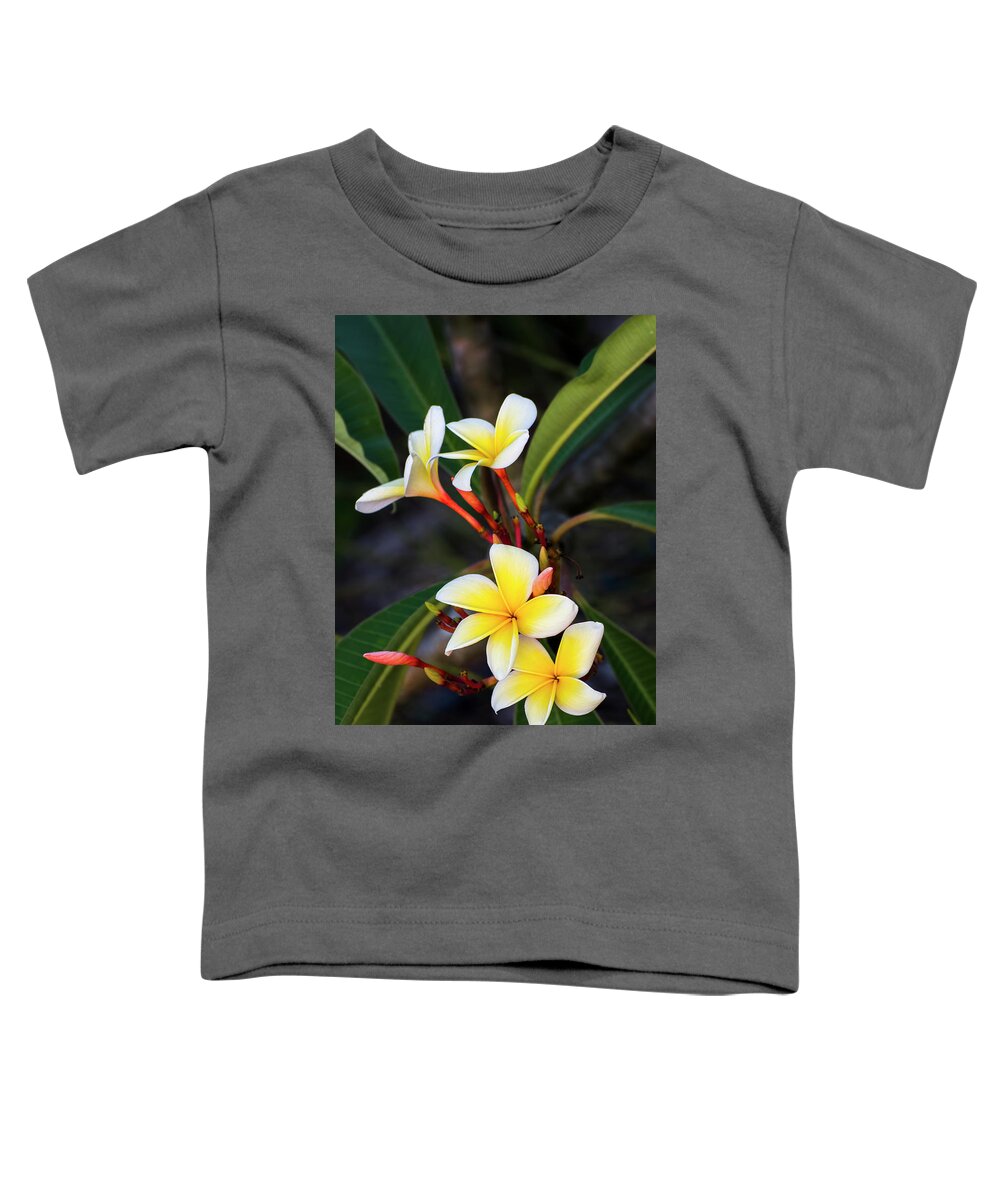 Frangipani Toddler T-Shirt featuring the photograph Frangipani Beauty by Ginger Stein