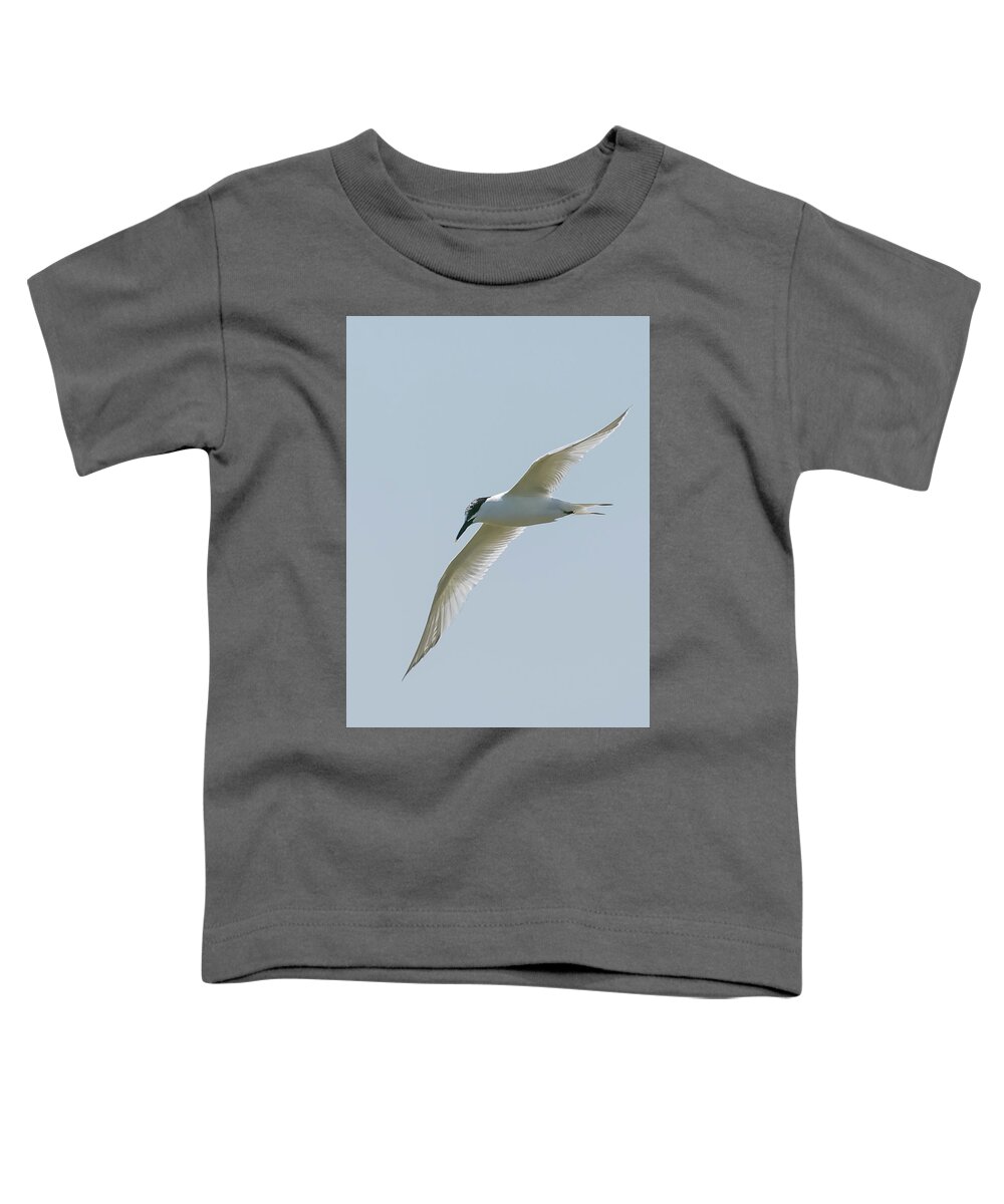 ©wendy Cooper Toddler T-Shirt featuring the photograph Free Flight by Wendy Cooper