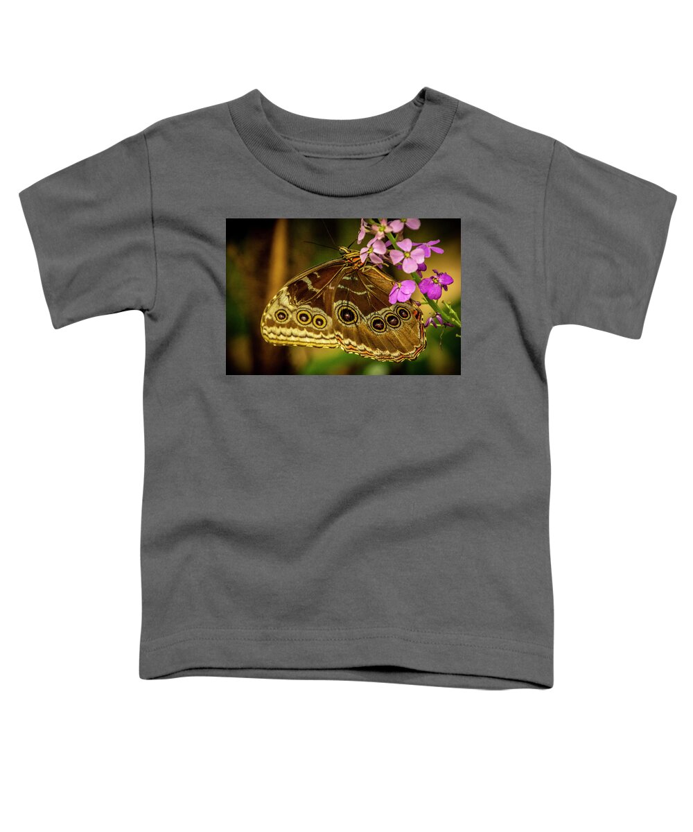 Butterfly Jungle Toddler T-Shirt featuring the photograph Giant Owl Butterfly by Donald Pash