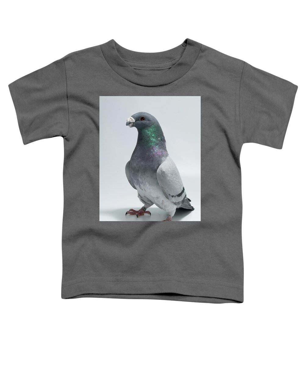 Pigeon Toddler T-Shirt featuring the photograph American Show Racer by Nathan Abbott
